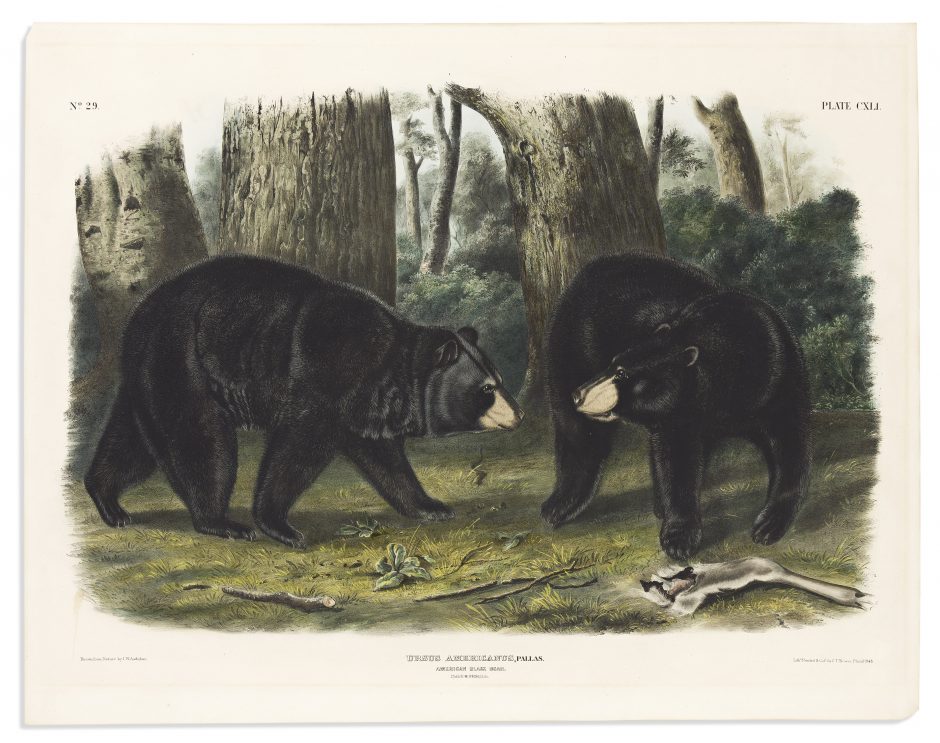 Auction Highlights: Maps & Atlases, Natural History & Color Plate Books ...